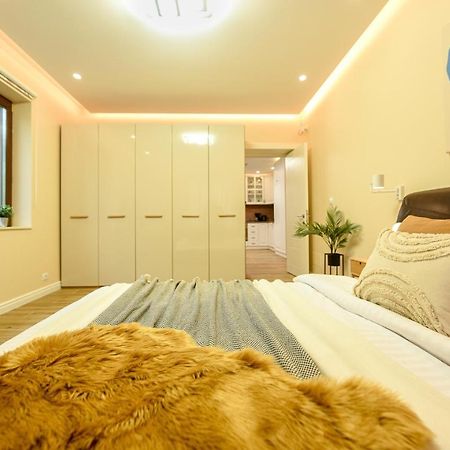 Green Leafy Brasov - Ideal 2 Bedroom Apartment エクステリア 写真