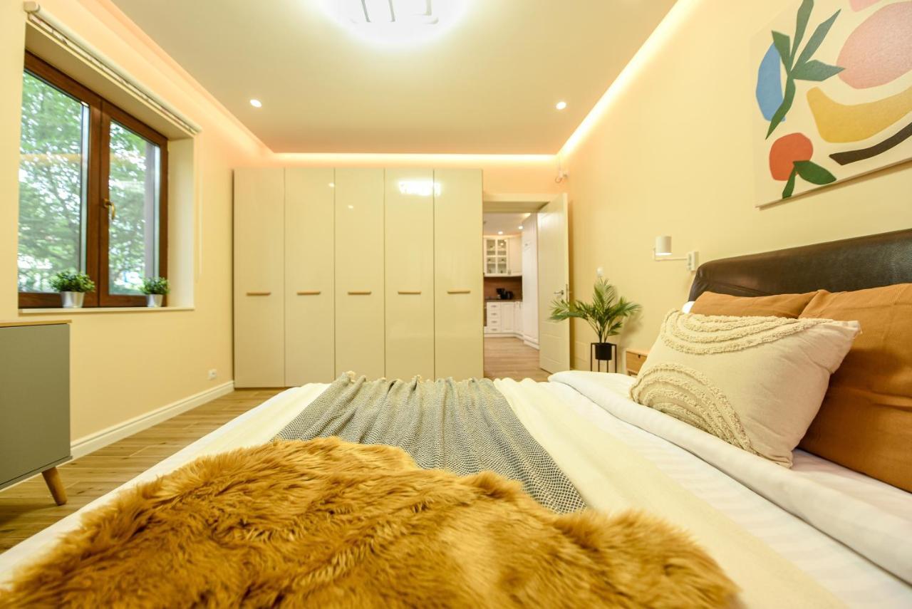 Green Leafy Brasov - Ideal 2 Bedroom Apartment エクステリア 写真
