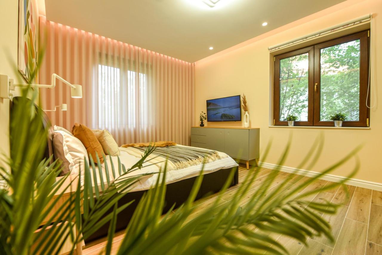 Green Leafy Brasov - Ideal 2 Bedroom Apartment エクステリア 写真