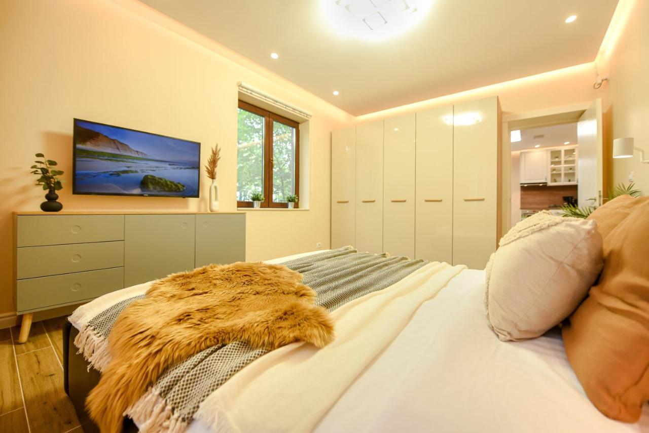 Green Leafy Brasov - Ideal 2 Bedroom Apartment エクステリア 写真