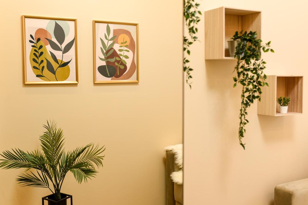 Green Leafy Brasov - Ideal 2 Bedroom Apartment エクステリア 写真