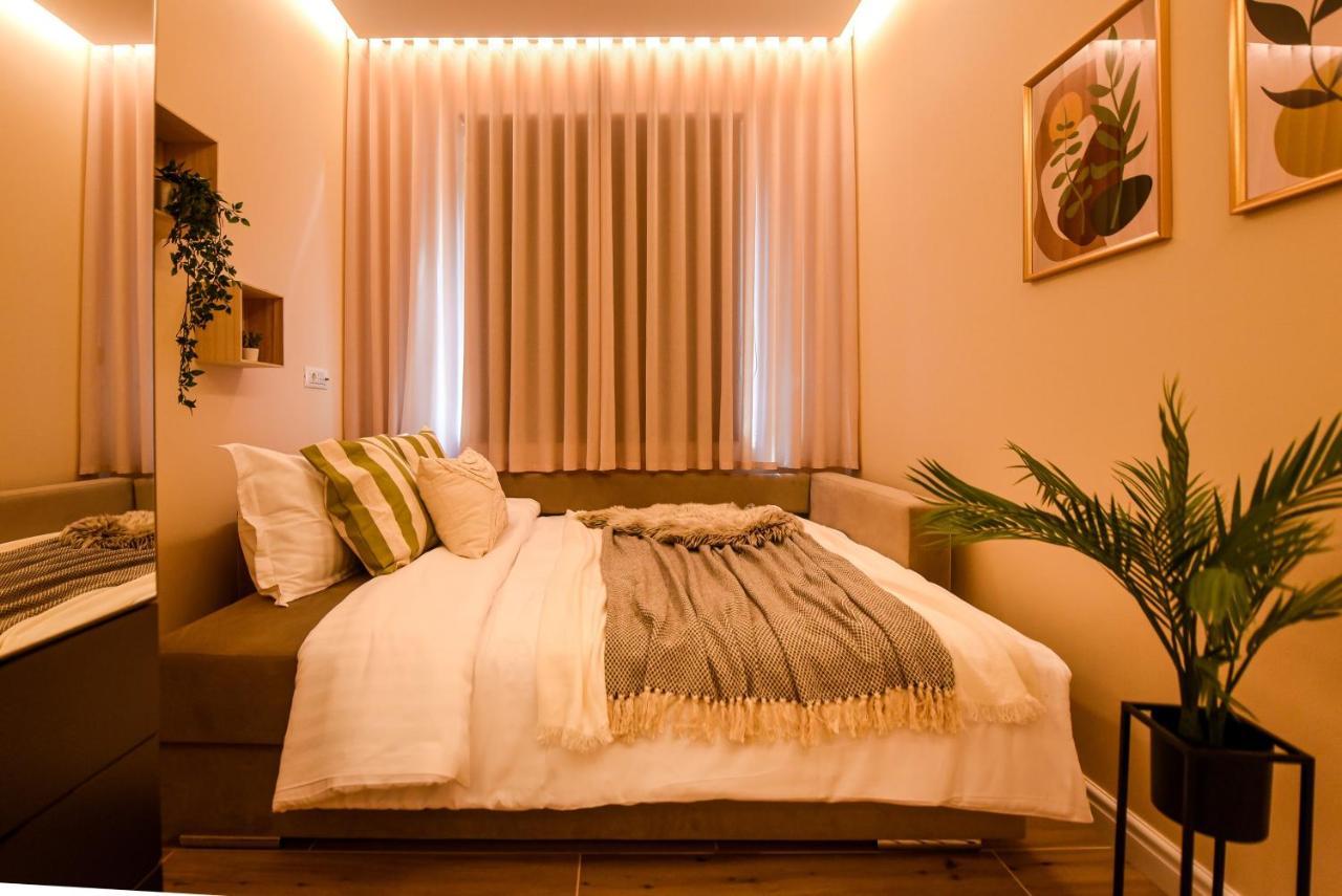 Green Leafy Brasov - Ideal 2 Bedroom Apartment エクステリア 写真