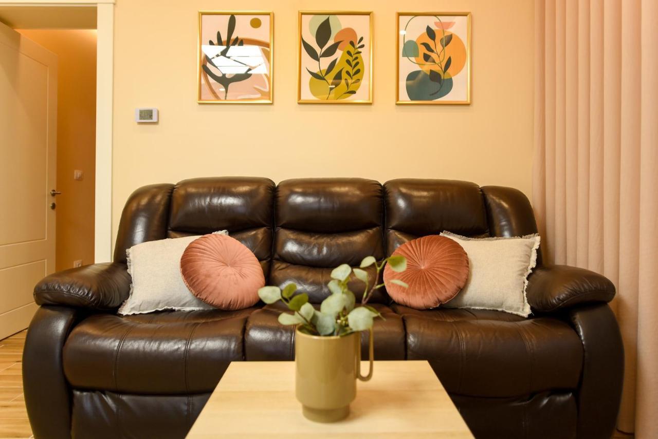 Green Leafy Brasov - Ideal 2 Bedroom Apartment エクステリア 写真