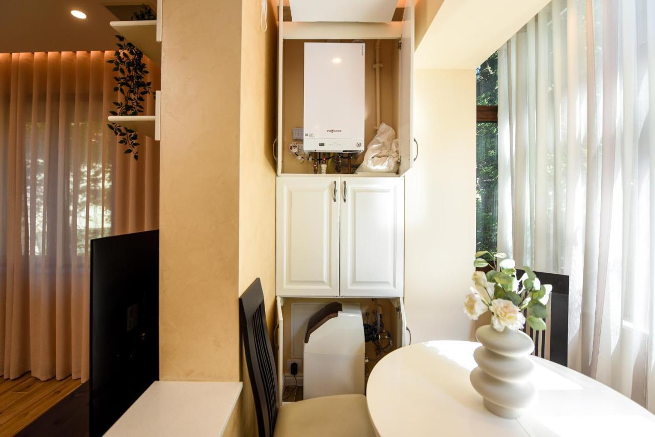 Green Leafy Brasov - Ideal 2 Bedroom Apartment エクステリア 写真